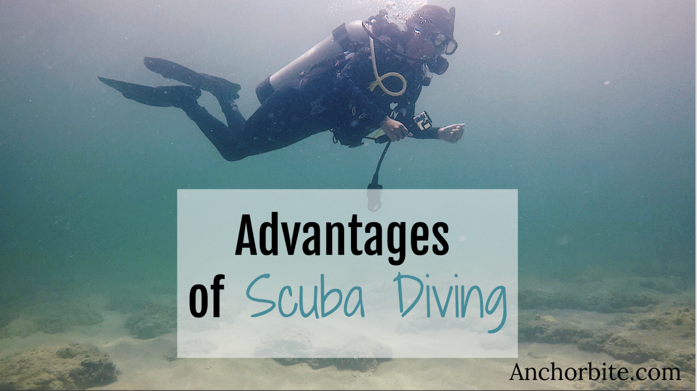 Advantages of Scuba Diving