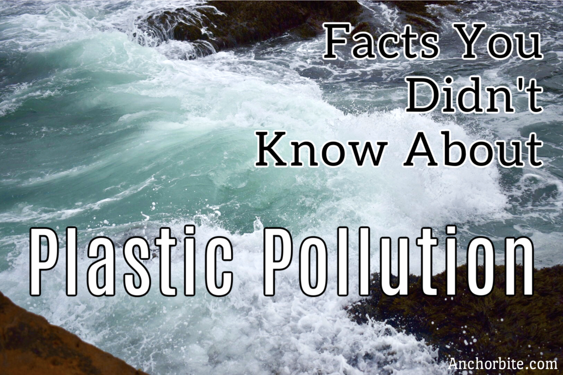 Facts you didn’t know about Plastic Pollution