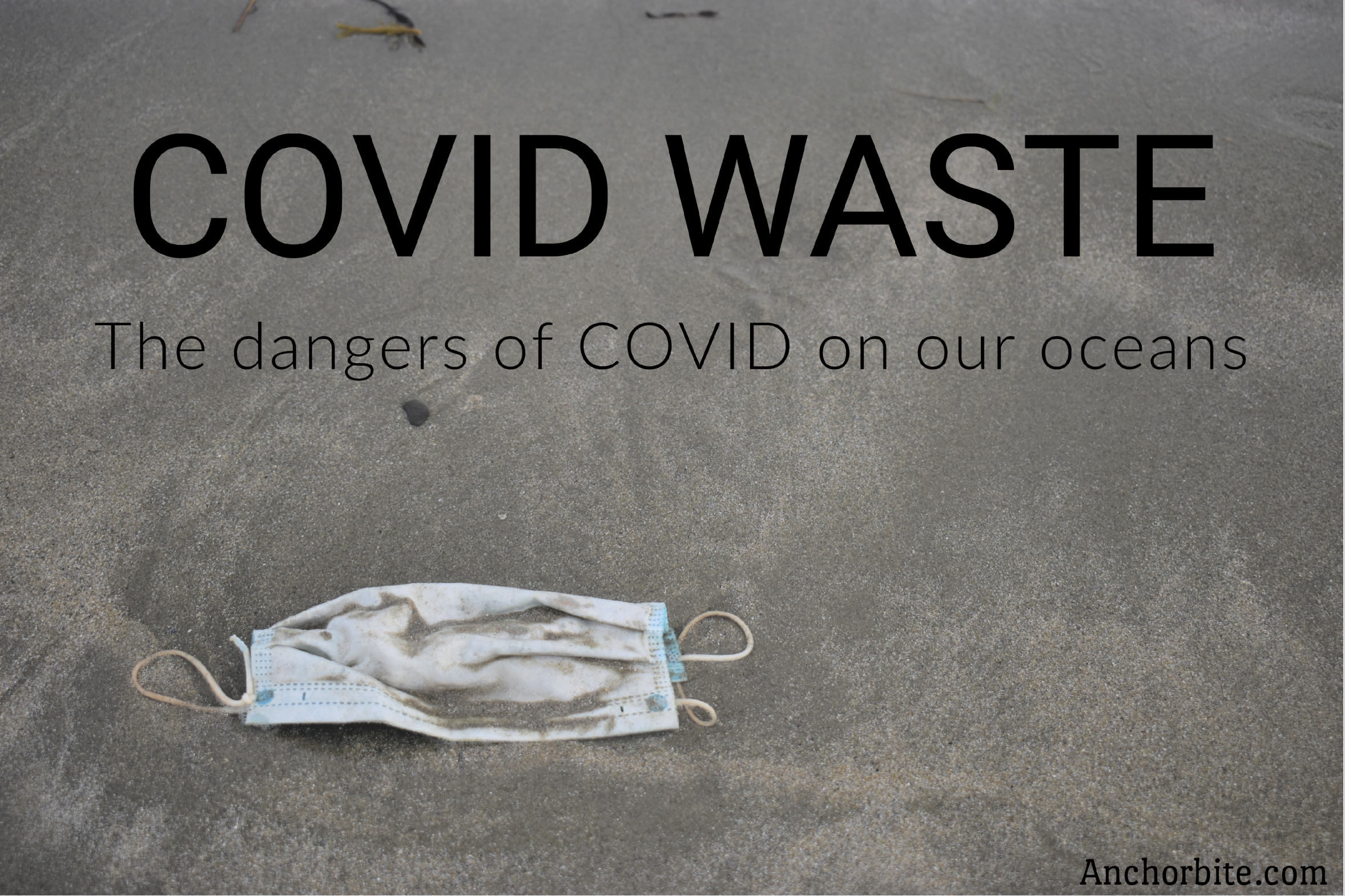 COVID Waste: The dangers of COVID on our oceans